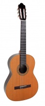 Esteve 1ps Cedar