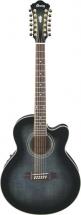 Ibanez Ael2012etks 12 Cordes Noir Degrade Transparent