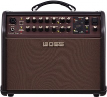 Roland Acoustic Singer Live