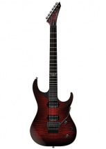 Washburn Parallaxe Pxs 10 Frdlx Wb