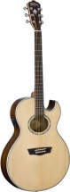 Washburn Ea 20 Nb