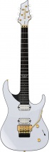 Washburn Parallaxe Pxm Dp 10 Wh