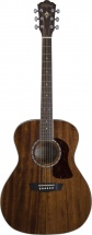 Washburn Hg 12s