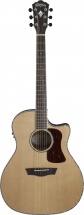 Washburn Hg 26sce