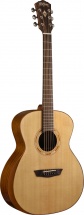 Washburn Wcg10sns