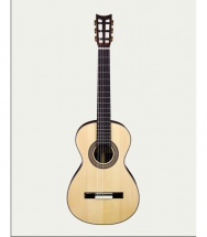 Aria 19th Century Style Nylon