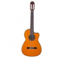 Aria Ac-50 Concert Series
