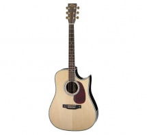 Aria Ad-80 Dreadnought Cutaway