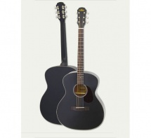 Aria Orchestra Model 100