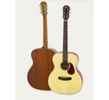 Aria Orchestra Model 100