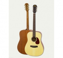 Aria Dreadnought 100