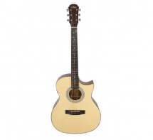 Aria Ar201cen Aria-201 Ce Om Cutaway Natural