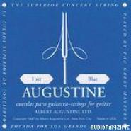 Augustine Regal Bleu Tirant Fort