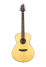 Breedlove Gaucher Discovery Concert