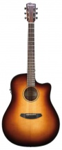Breedlove Dcd21ces Discovery Western Sb Cw