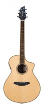 Breedlove Stc22ce Stage Concert Cw