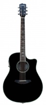 Breedlove Std21ceb Stage Western Cw Black