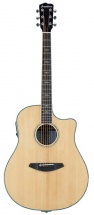 Breedlove Std22ce Stage Western Cw