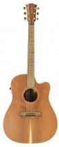 Cole Clark Fat Lady 2 Fl2ec-rdbl