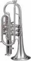 Getzen Cornet Sib D\'etude Getzen 580s Capri Verni