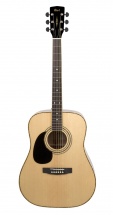 Cort Gaucher Ad880 Natural Gloss