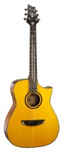 Cort Luxe Frank Gambale Natural Gloss + Etui