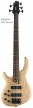 Cort Artisan B Nb5gflopn Fretless Naturelle