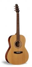 Seagull Coastline Folk Cedar (cos6f)