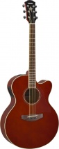 Yamaha Cpx600 Root Beet