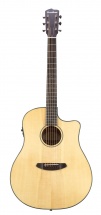 Breedlove Discovery Western Cw Fishman