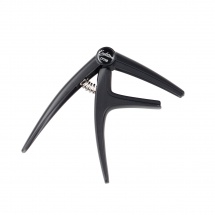 Eagletone Cp250 Abk - Electrique Et Folk