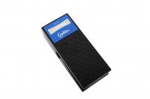 Eagletone Dv100