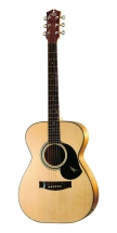 Maton Ebg808