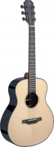 Jn Guitars E/a Travel Gt-sld Spruce/rswd