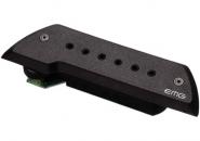 Emg Acs-ev