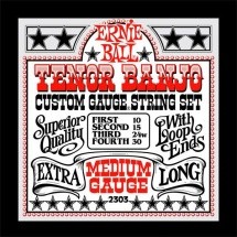 Ernie Ball Tenor Banjo Medium Gauge 10-30 2303