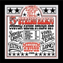 Ernie Ball 5 Cordes Banjo Medium Gauge 10-10 2309