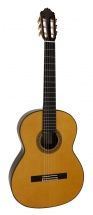 Esteve 1gr11 Spruce