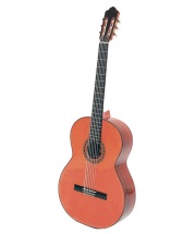 Esteve 1ps75