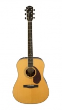Fender Paramount Pm-1 Deluxe Dreadnought Natural