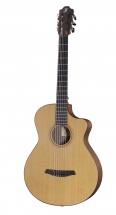 Furch Grand Nylon Gn2 Cw