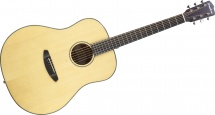 Breedlove Discovery Dc-d21