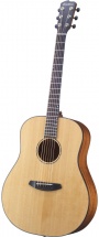 Breedlove Premier Pr-d21-e + Etui