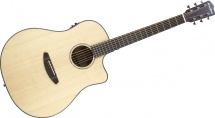 Breedlove Pursuit Ps-d21-e