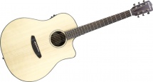 Breedlove Pursuit Ps-d24-ce
