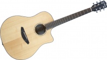 Breedlove Solo Sl-d21-ce