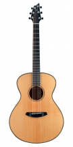 Breedlove Usc20-smye