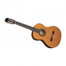 Cuenca Gaucher 30