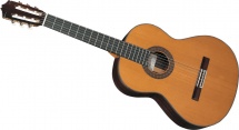 Cuenca Gaucher 60-r-l