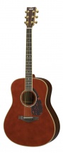 Yamaha Ll16 A.r.e Dark Tinted